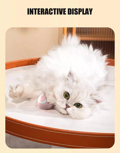Cat Interactive Ball