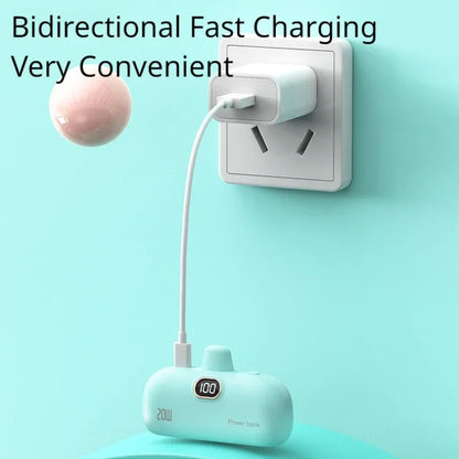 Portable Power Bank for iPhone and Android (5000 MAH)