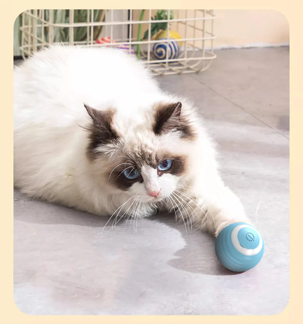Cat Interactive Ball