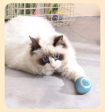 Cat Interactive Ball
