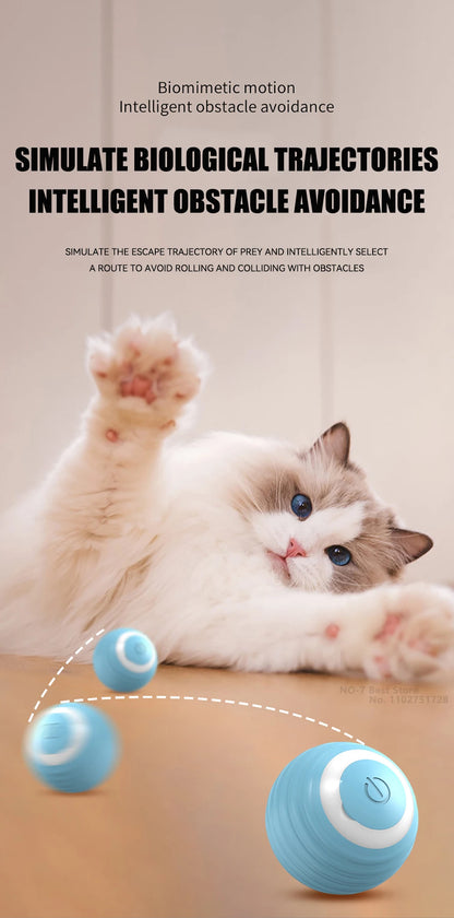 Cat Interactive Ball