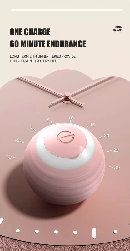 Cat Interactive Ball