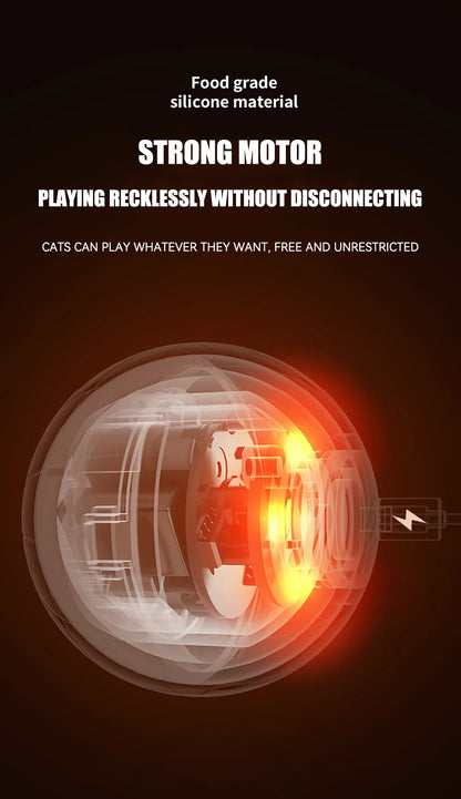 Cat Interactive Ball