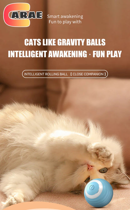 Cat Interactive Ball